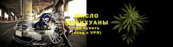 индика Белая Холуница