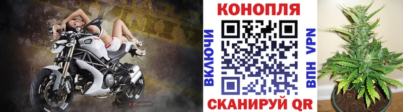 Конопля Amnesia Ак-Довурак